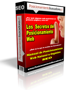 posicionamiento web