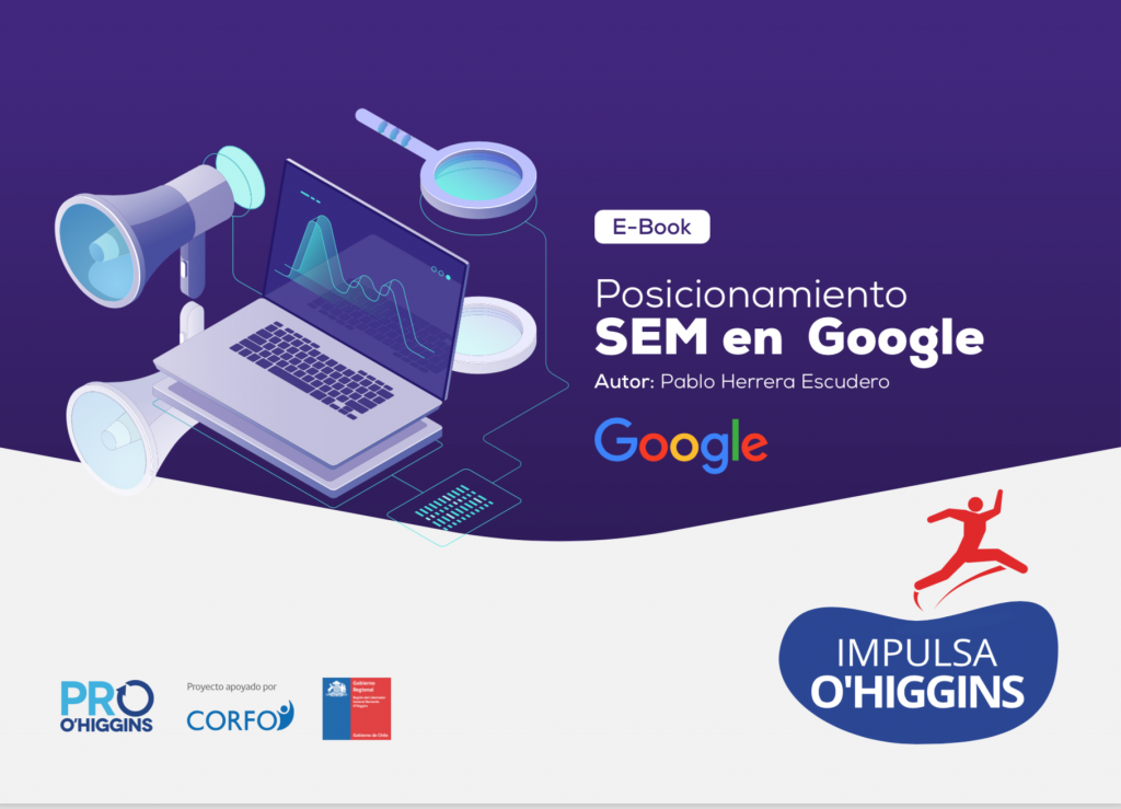 Manual Google Ads 2021